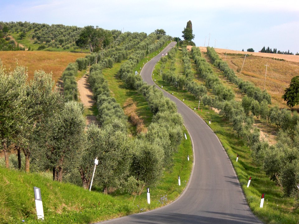 MM15-0907 GIRO 02 21 ULIVETO ROAD S10 photo