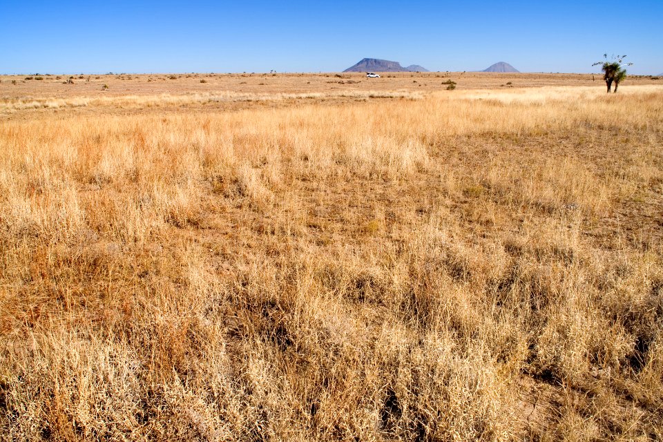 Southwestern Otero Mesa