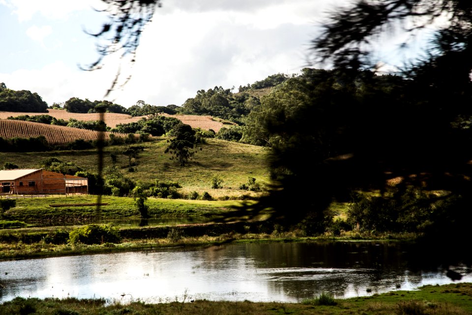 01.05.2019 - Prefeita Paula Mascarenhas realiza o percurso de ida feito com o transporte coletivo rural, saída do ponto da General Neto entre Santa Tecla e Deodoro, a caminho da FETOMATE no Grupelli - Foto: Gustavo Vara