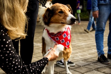 21.05.2019 - Prefeita Paula Mascarenhas realiza o lançamento do Selo Empresa Amiga dos Animais - Foto: Gustavo Vara