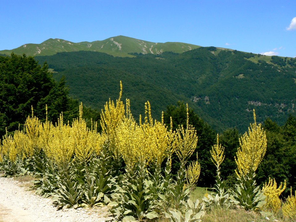 MM00-0807 ABRUZZO PLN MNT LND FZ7