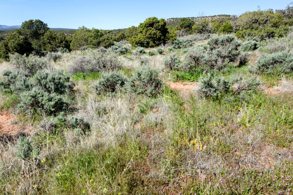 Northwest of No Thoroughfare Canyon