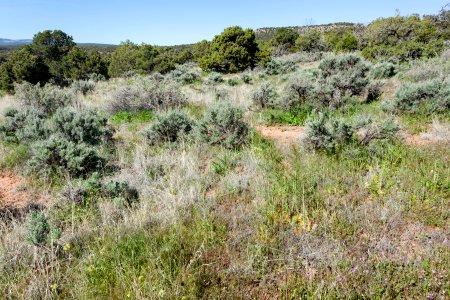 Northwest of No Thoroughfare Canyon