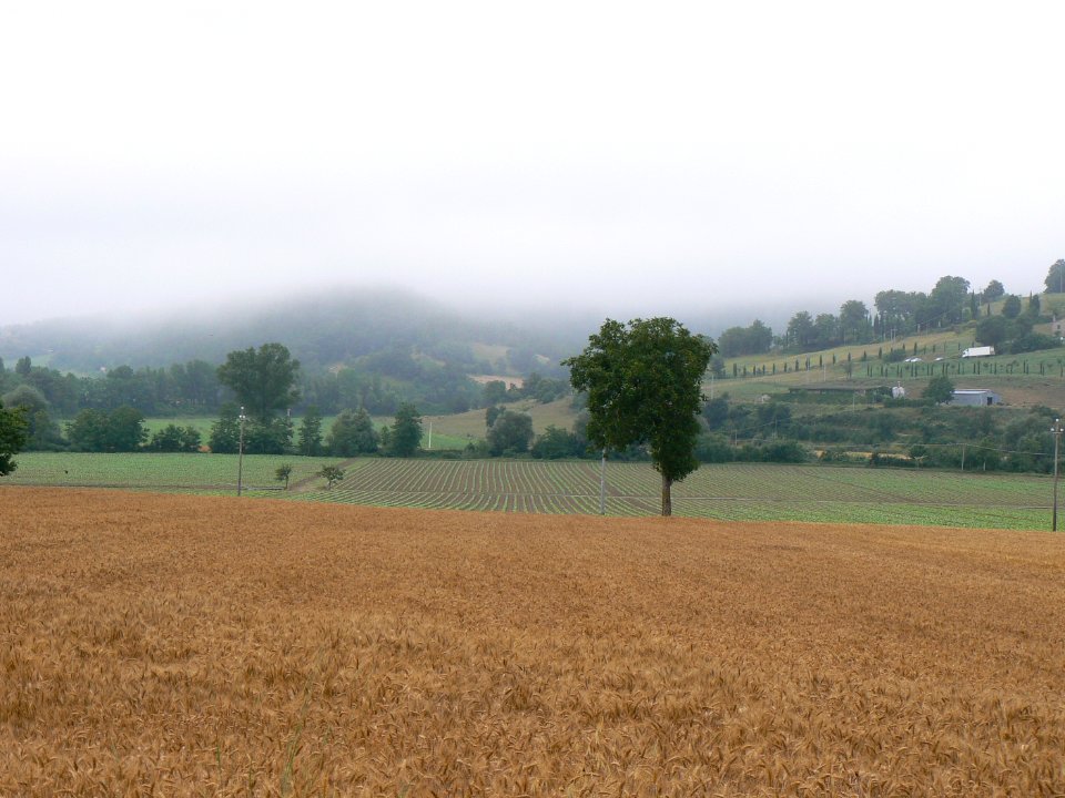 MM00-0906 TRV UMBRIA PLN RURAL FZ7 FAV