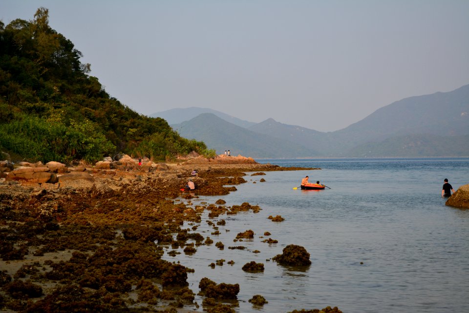 DSC 1017