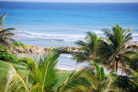 Sea sand beach photo