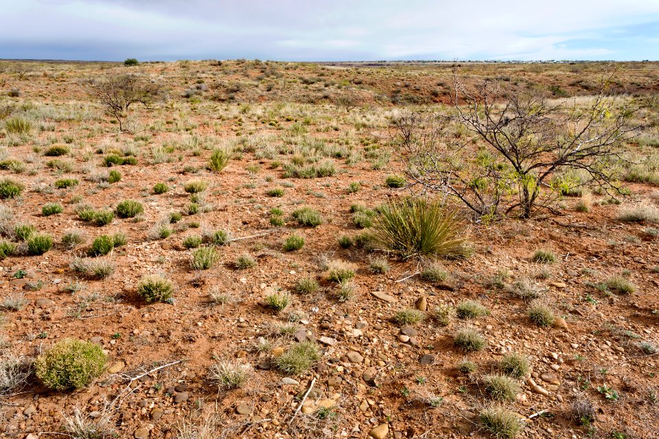 South side of Ute Lake