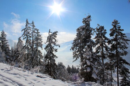 Snow alpbach austria photo