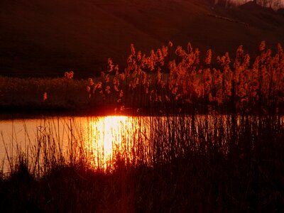 Reflection sun sky photo