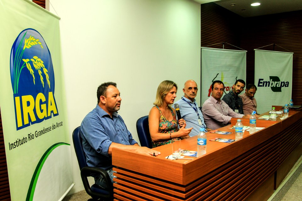 30.01.2019 - Prefeita Paula Mascarenhas durante coletiva de imprensa da 29ª Abertura Oficial da Colheita do Arroz - Foto: Gustavo Vara