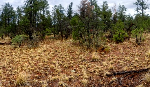 Continental Divide Trail