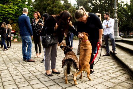 21.05.2019 - Prefeita Paula Mascarenhas realiza o lançamento do Selo Empresa Amiga dos Animais - Foto: Gustavo Vara