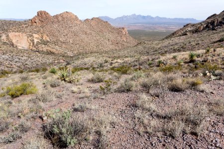 Southeastern Doña Ana Mountains