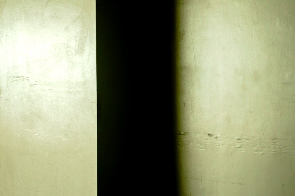 Conceptual