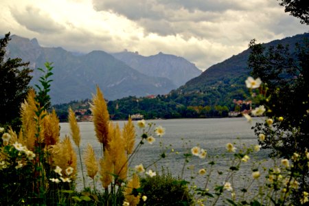 ACROSS THE LAKE