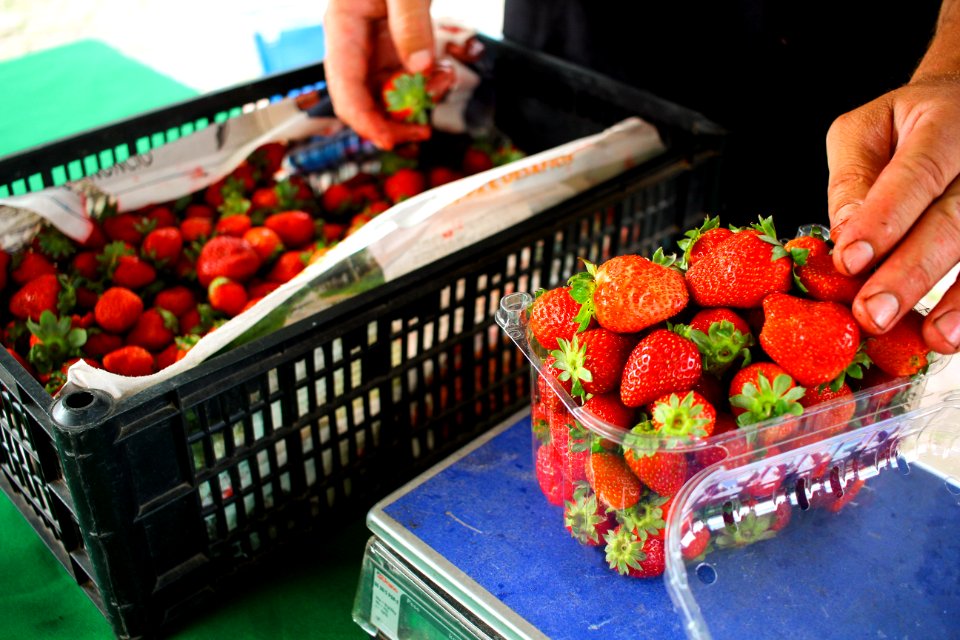 25.01.2019 - Feira do morango - Foto Marcel Avila