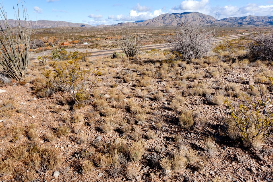 Northeast of Tularosa