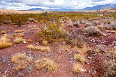 Northeast of Tularosa