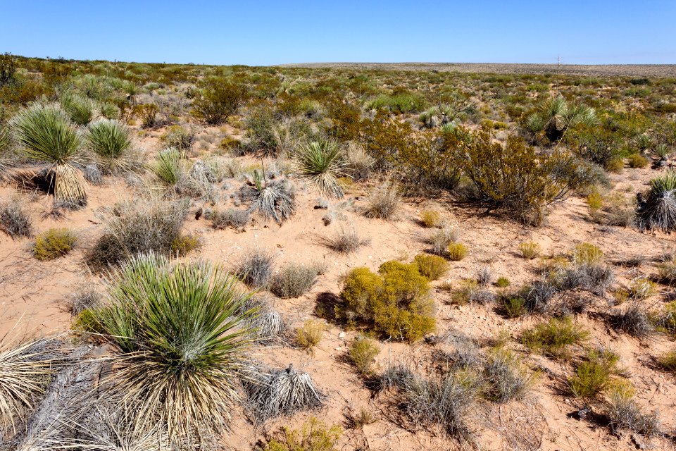 Eastern Otero Mesa