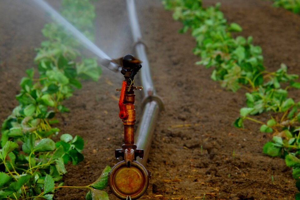 Artificial drought water