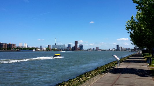 Rotterdam photo