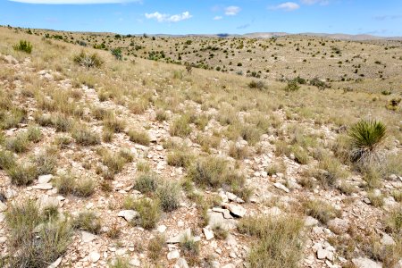 Northeast of Skunk Canyon