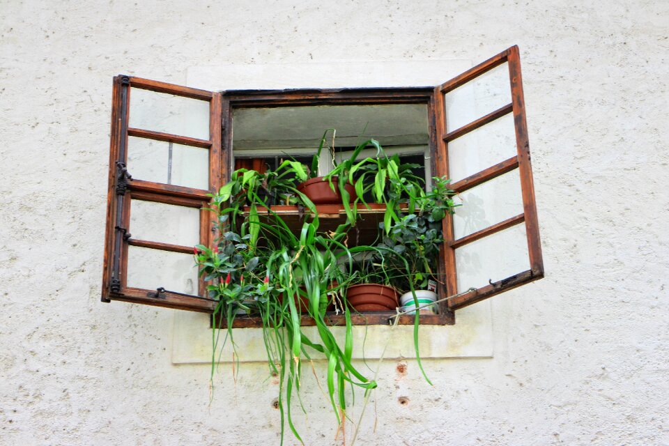 Facade flowers historically