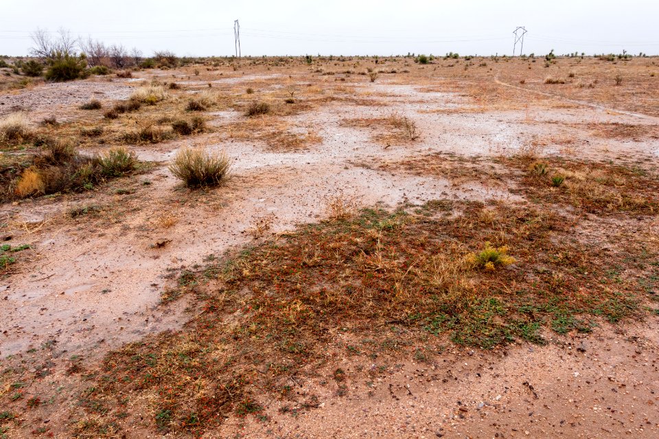 North-northeast of Lordsburg
