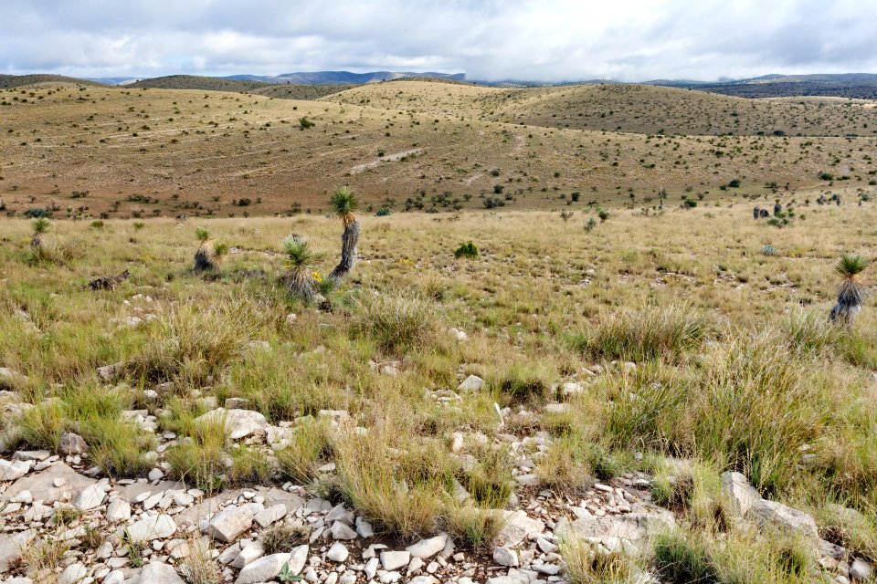 Northeast of George Draw