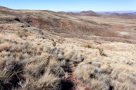 West Potrillo Mountains photo