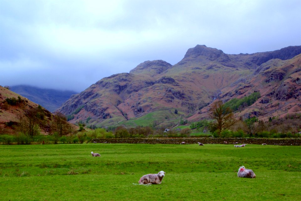 Langdale photo