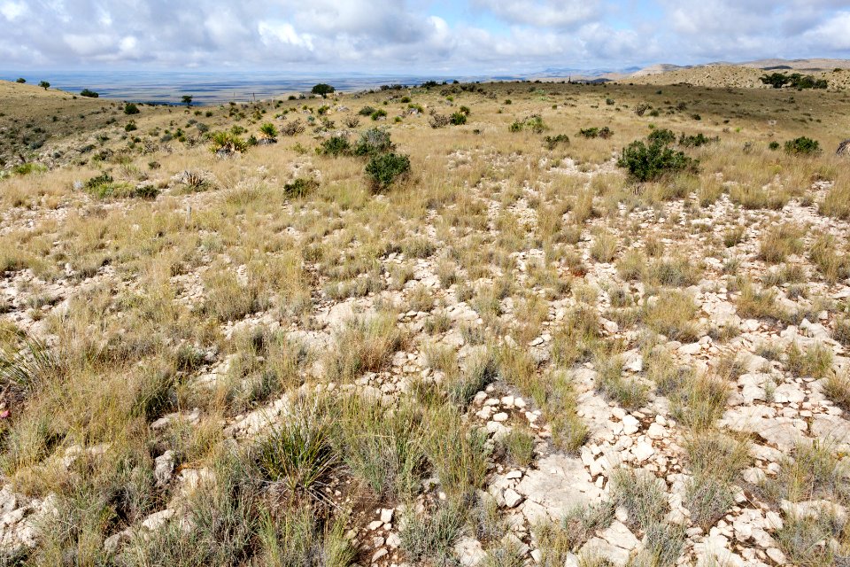 Northeast of Skunk Canyon