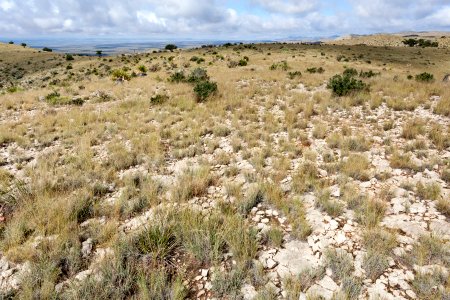 Northeast of Skunk Canyon