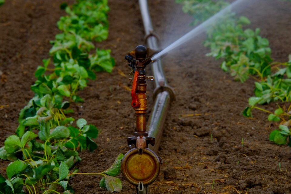 Agriculture irrigation landscape