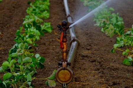Agriculture irrigation landscape