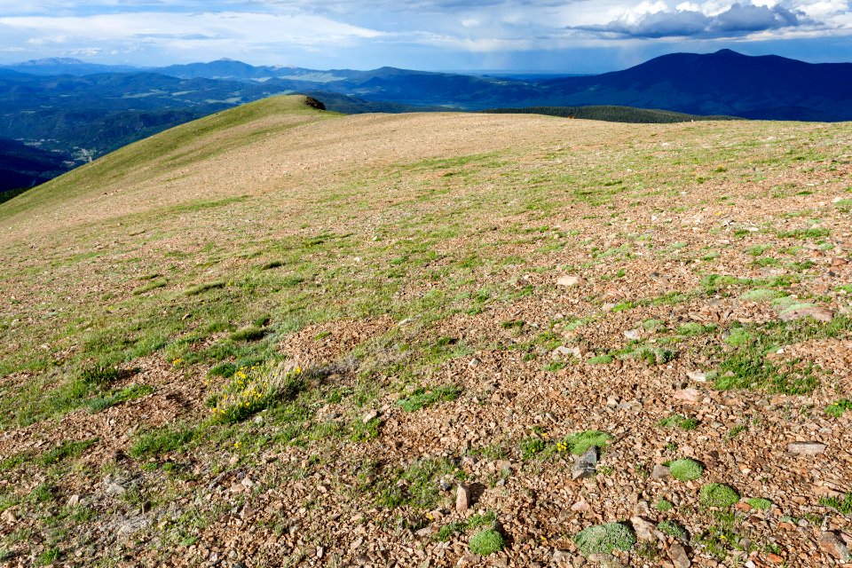North-northeast of Wheeler Peak