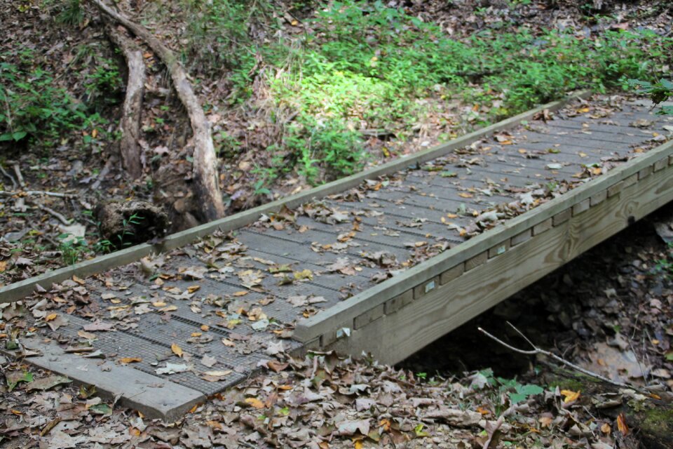 Hiking trail nature