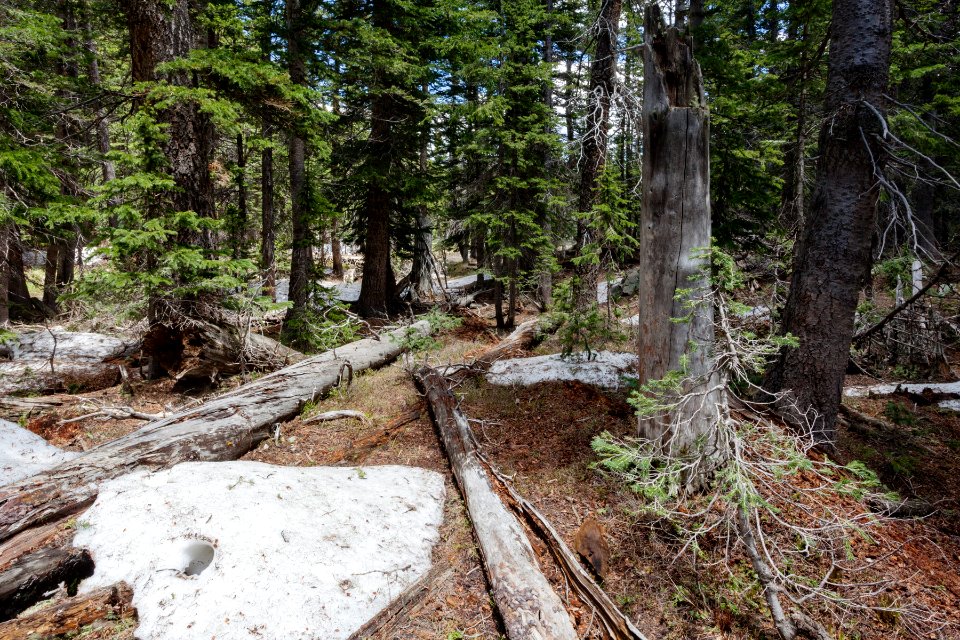 Northeast of Wheeler Peak