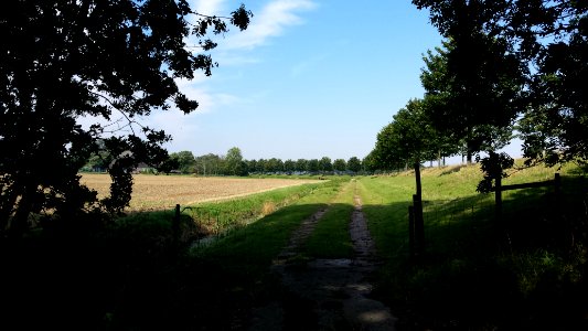 tussen Rotterdam en de Oude Maas