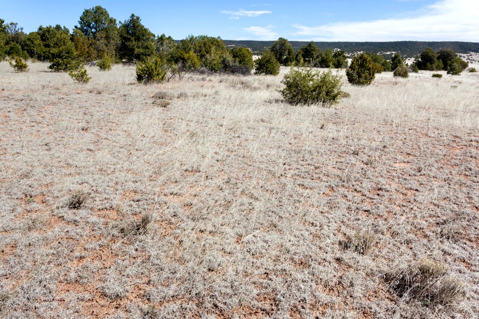Southwest of Glorieta Mesa