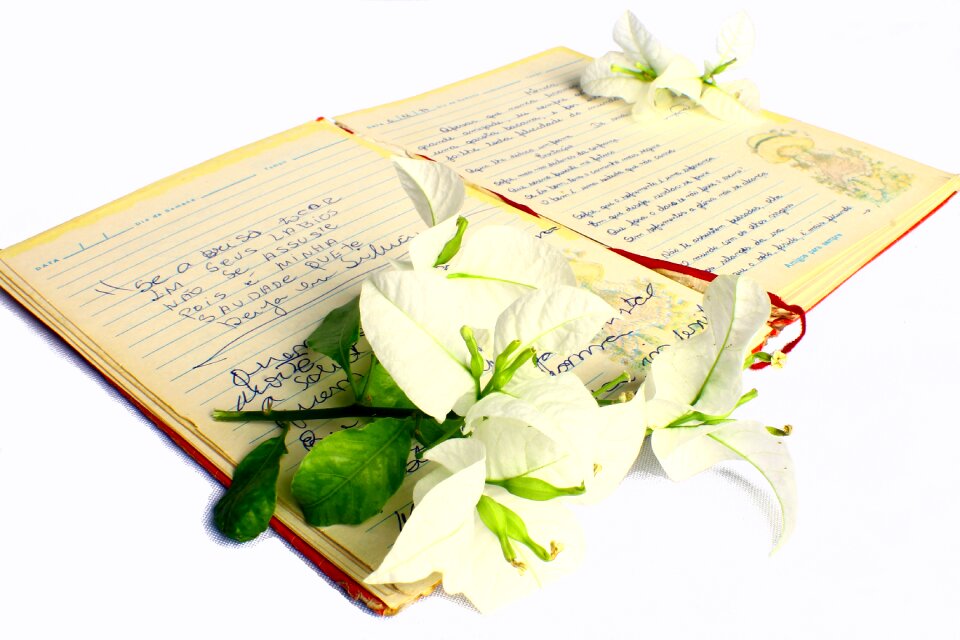 Old notebook teen poetry love