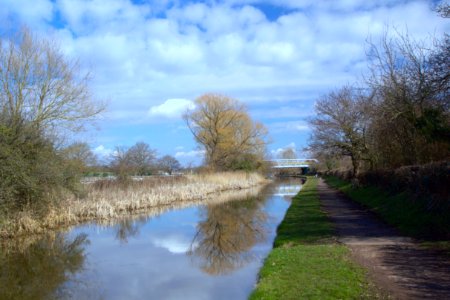 Along the Tow Path photo