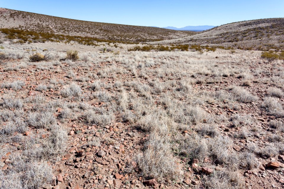 Eastern Sierra de las Uvas