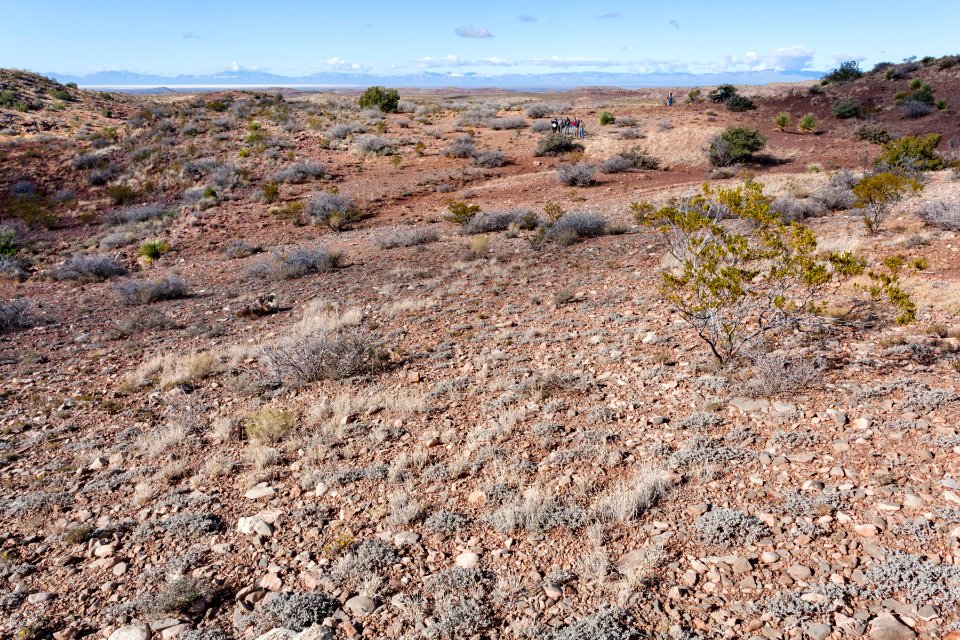 Northeast of Tularosa