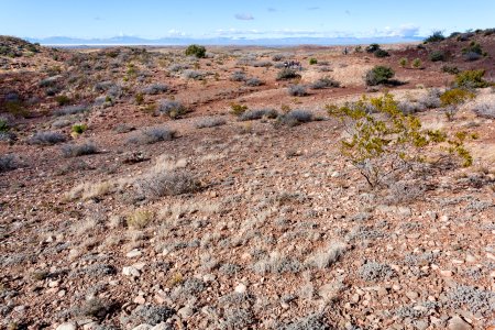 Northeast of Tularosa