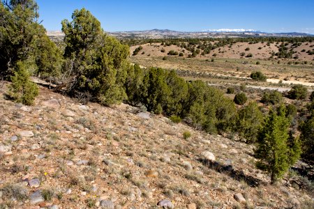 Hart Canyon