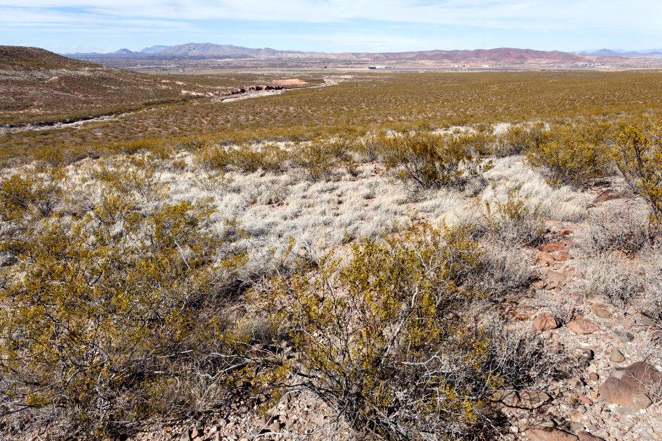 Southeast side of Arroyo Angostura