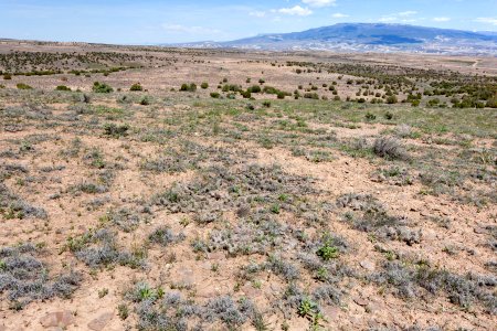 Sawmill Mesa