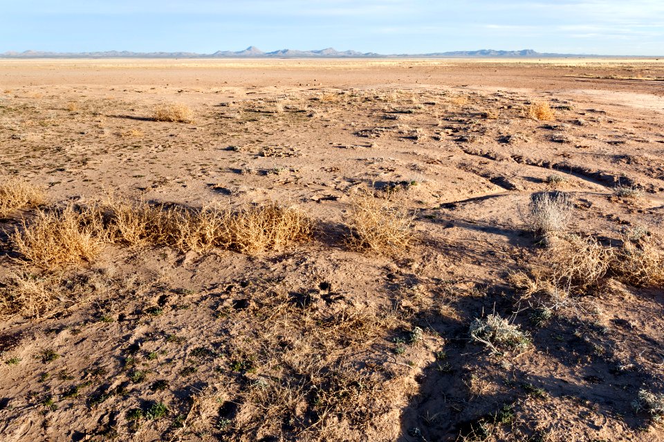 West edge of Lordsburg Playa