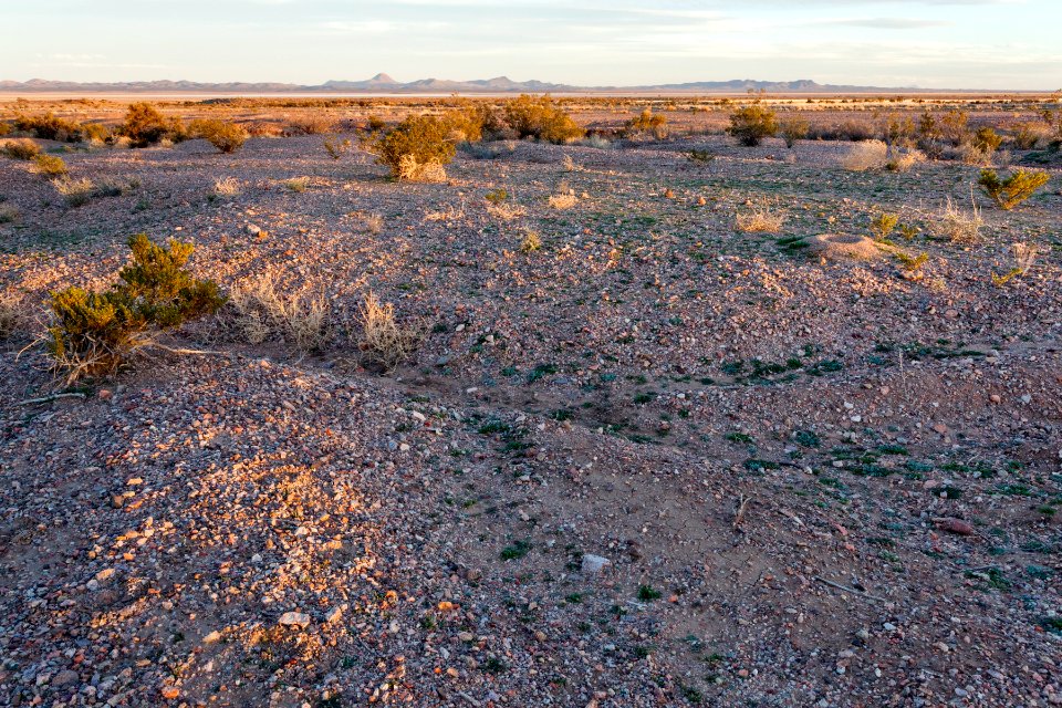 West of Lordsburg Playa